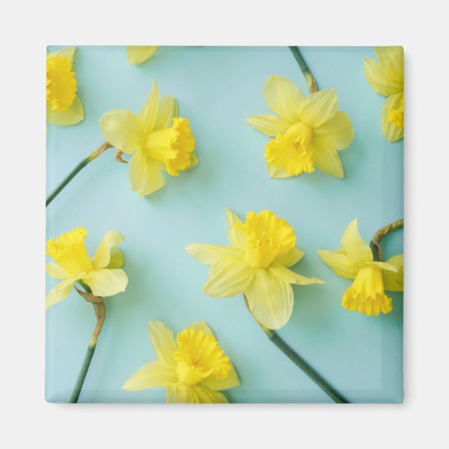 Blumen | Gelbe Daffodien Magnet (Vorne)