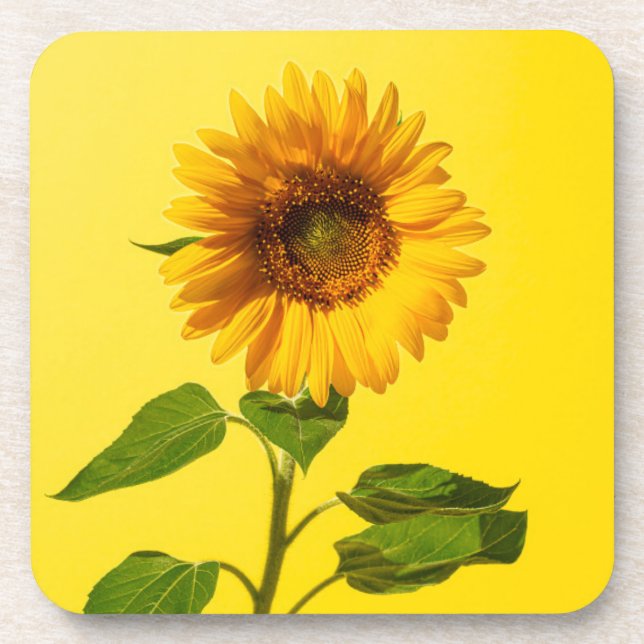 Blumen | Gelbe Sonnenblume Getränkeuntersetzer (Vorderseite)
