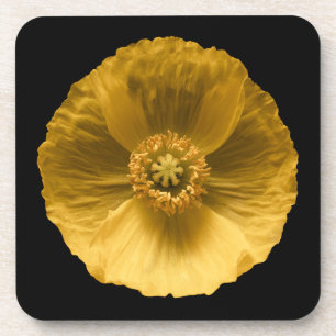 Blumen   Gelber Mohn Getränkeuntersetzer