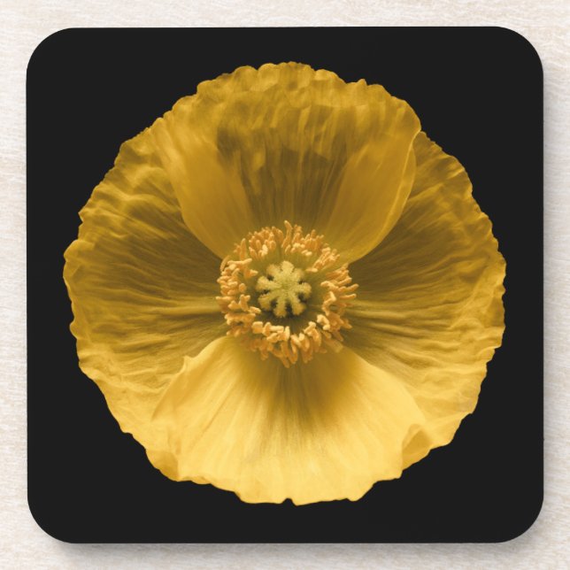 Blumen | Gelber Mohn Getränkeuntersetzer (Vorderseite)