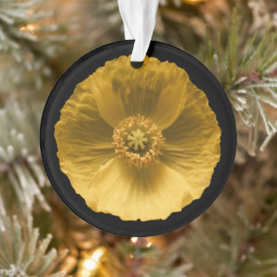 Blumen Gelber Mohn Ornament