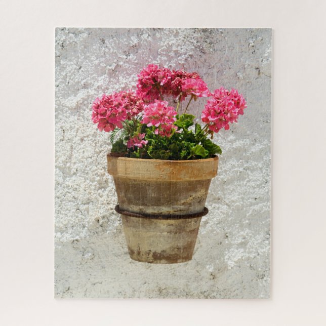 Blumen | Geranium in Blume in Pot (Vertikal)