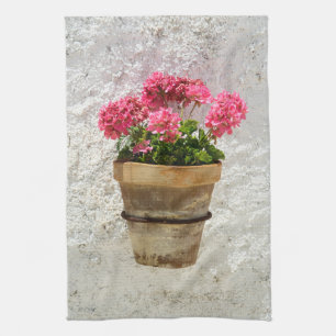 Blumen   Geranium in Blume in Pot Geschirrtuch