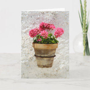 Blumen Geranium in Blume in Pot Karte