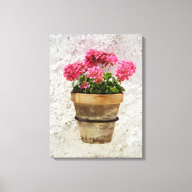 Blumen | Geranium in Blume in Pot Leinwanddruck (Vorderseite)