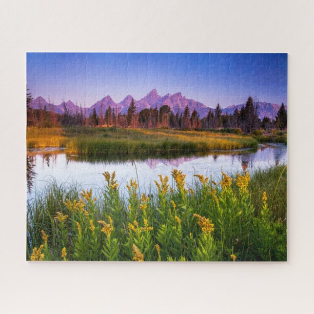 Blumen | Grand Teton National Park, Wyoming (Horizontal)