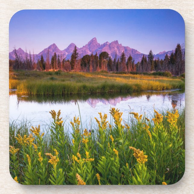 Blumen | Grand Teton National Park, Wyoming Getränkeuntersetzer (Vorderseite)