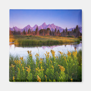 Blumen Grand Teton National Park, Wyoming Magnet