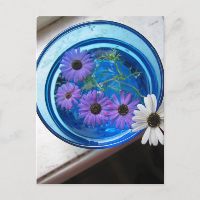 Blumen im blauen Pool Postkarte (Vorderseite)