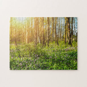 Blumen im Wald  -