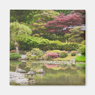 Blumen in Blüte im japanischen Garten, Magnet