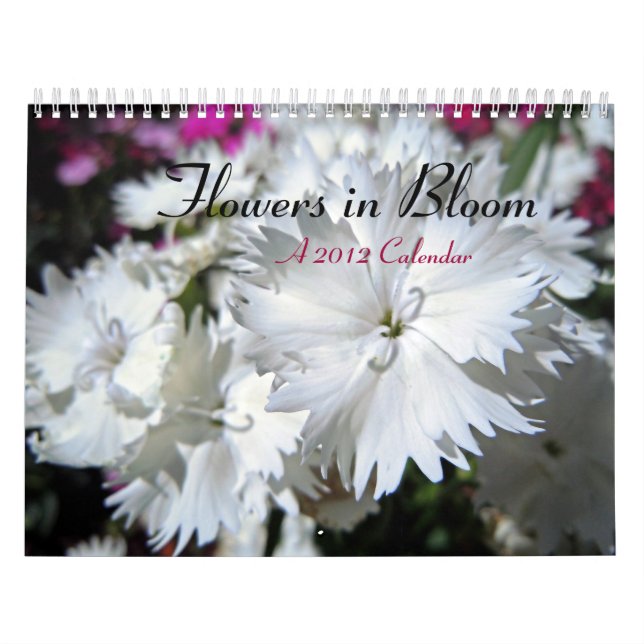 Blumen in der Blüte Kalender (Titelbild)