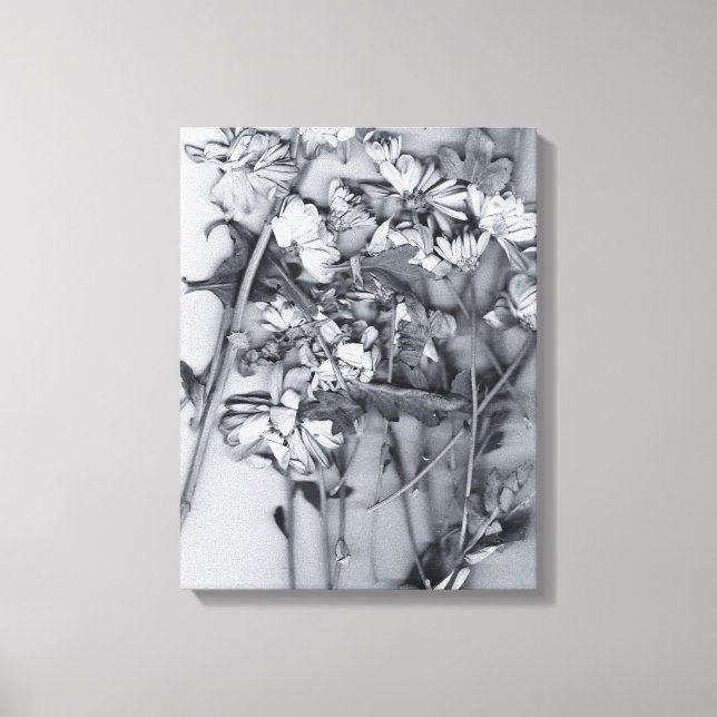 Blumen in Schwarz und Weiß Leinwanddruck (Vorderseite)