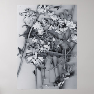 Blumen in Schwarz und Weiß Poster