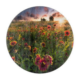 Blumen Indian Blanket Wildblume Texas Schneidebrett