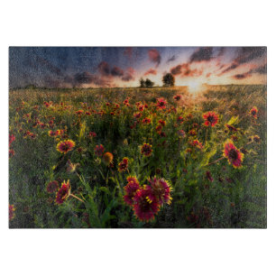 Blumen Indian Blanket Wildblume Texas Schneidebrett