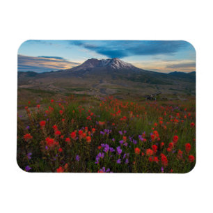 Blumen   Indian Paintbrush & Penstemon Magnet