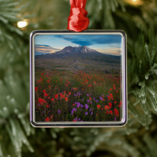 Blumen   Indian Paintbrush & Penstemon Ornament Aus Metall
