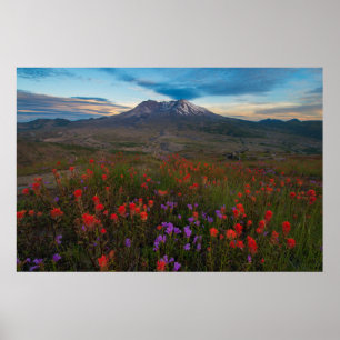 Blumen   Indian Paintbrush & Penstemon Poster