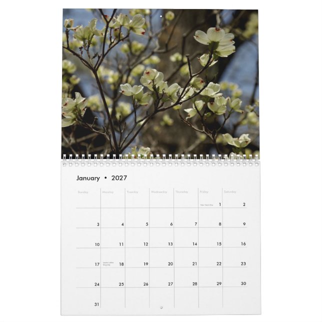 Blumen-Kalender 2012 Kalender (Jan 2027)