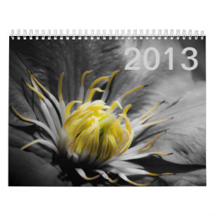 Blumen-Kalender 2013 Kalender