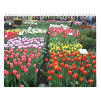 Blumen-Kalender 8 Kalender