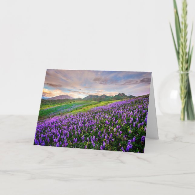 Blumen | Kalifornische Wildblumen Karte (Vorderseite)