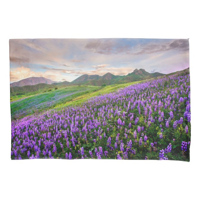 Blumen | Kalifornische Wildblumen Kissenbezug (Vorderseite)