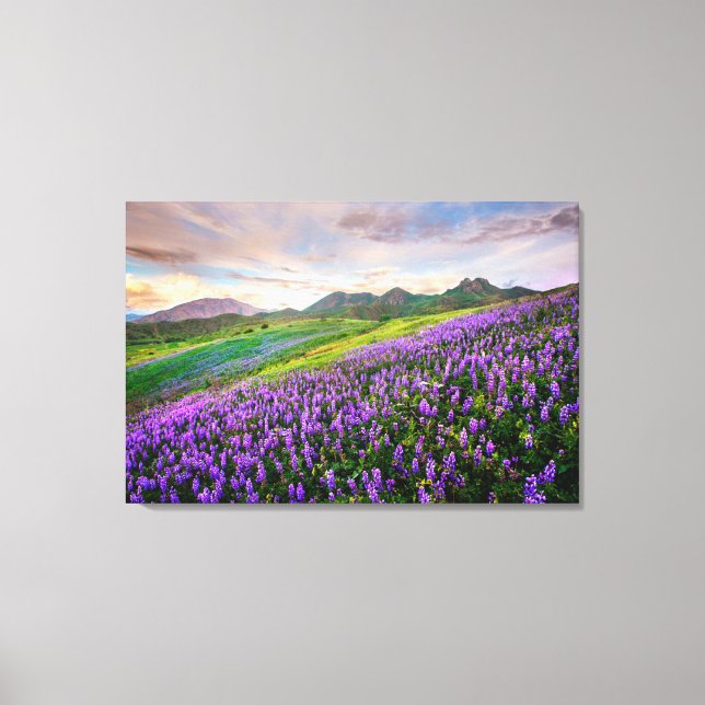 Blumen | Kalifornische Wildblumen Leinwanddruck (Vorderseite)
