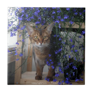 Blumen-Katze Fliese