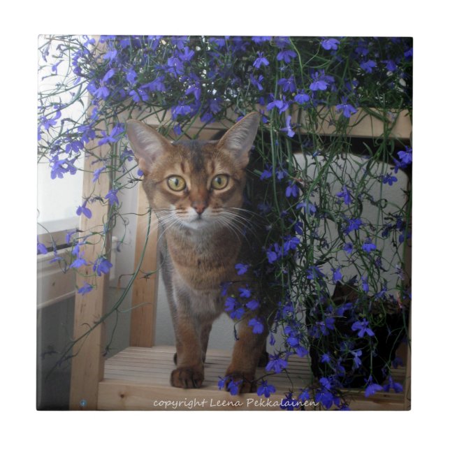 Blumen-Katze Fliese (Vorderseite)