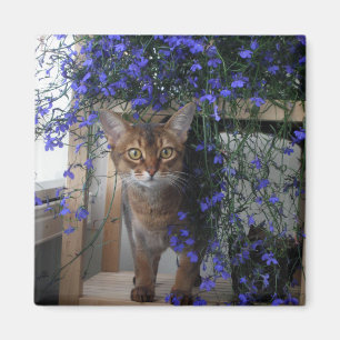 Blumen-Katze Magnet