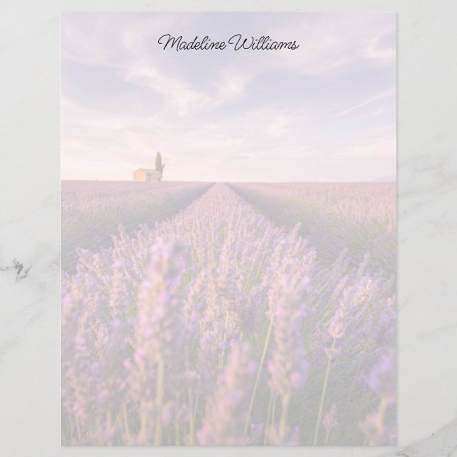 Blumen | Lavendel Südfrankreich (Vorderseite)