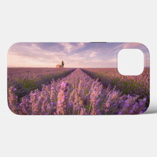 Blumen   Lavendel Südfrankreich Case-Mate iPhone Hülle