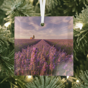 Blumen   Lavendel Südfrankreich Ornament Aus Glas