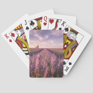 Blumen Lavendel Südfrankreich Spielkarten