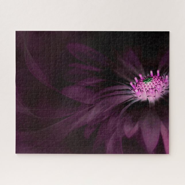 Blumen | Lila Daisy (Horizontal)