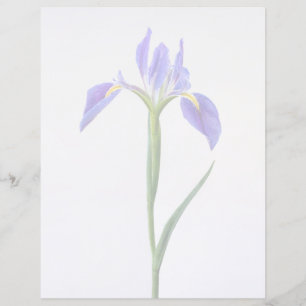 Blumen Lila Iris-Blume