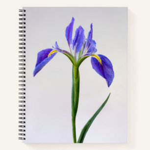 Blumen Lila Iris-Blume Notizbuch