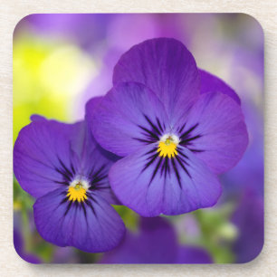 Blumen   LILA STIEFMÜTTERCHEN Getränkeuntersetzer