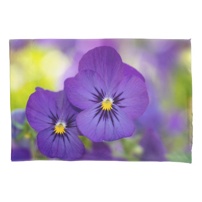 Blumen | LILA STIEFMÜTTERCHEN Kissenbezug (Vorderseite)