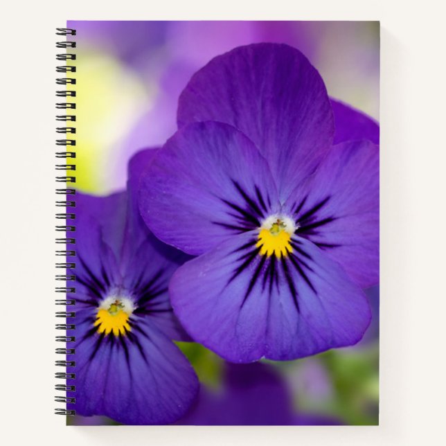 Blumen | LILA STIEFMÜTTERCHEN Notizbuch (Vorderseite)