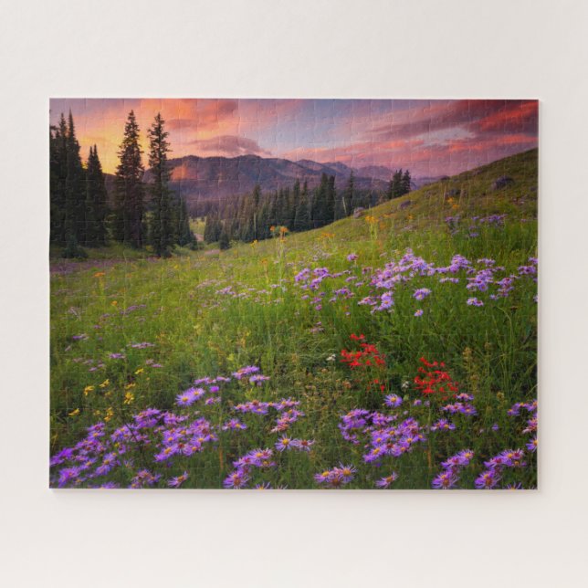 Blumen | Lila Wildblumen Colorado (Horizontal)