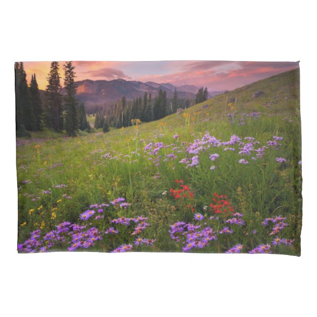 Blumen | Lila Wildblumen Colorado Kissenbezug (Vorderseite)