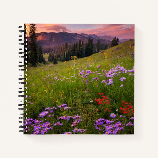 Blumen | Lila Wildblumen Colorado Notizbuch (Vorderseite)