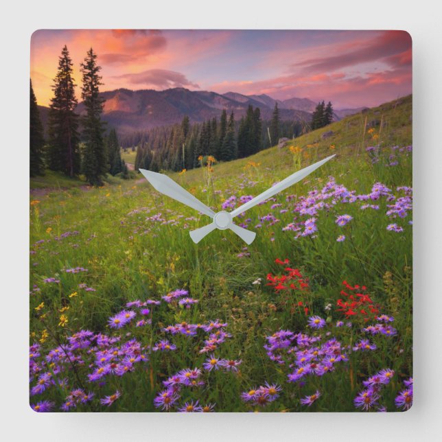 Blumen | Lila Wildblumen Colorado Quadratische Wanduhr (Vorderseite)