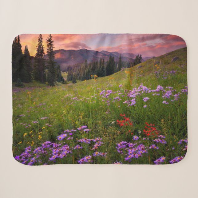 Blumen | Lila Wildblumen Colorado Sherpadecke (Vorderseite (Horizontal))