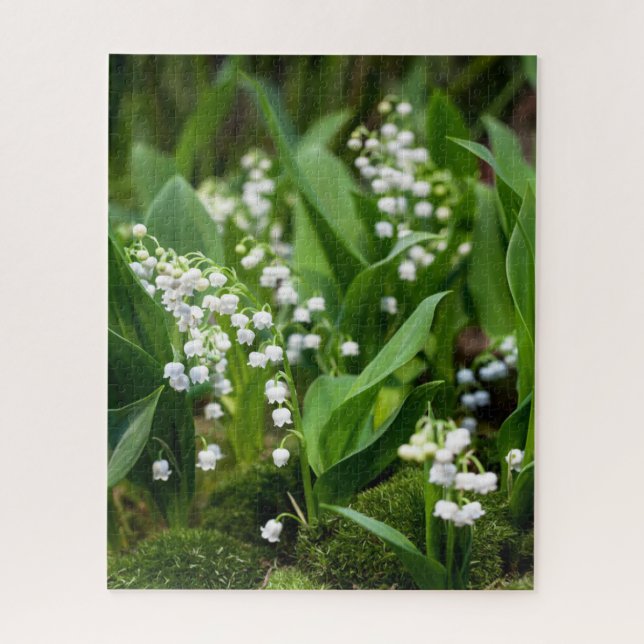 Blumen | Lily of the Valley Schweden (Vertikal)