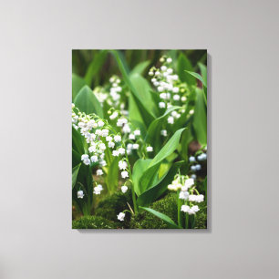 Blumen Lily of the Valley Schweden Leinwanddruck