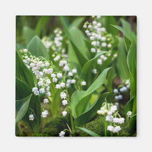 Blumen   Lily of the Valley Schweden Magnet